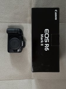 Canon EOS R6 Mark II body