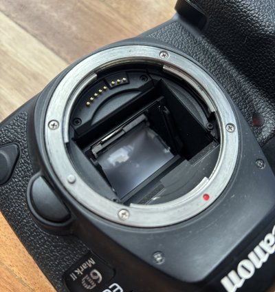 Canon 6D markII + φακός Canon 75-300 f4-5.6 IS Ultrasonic