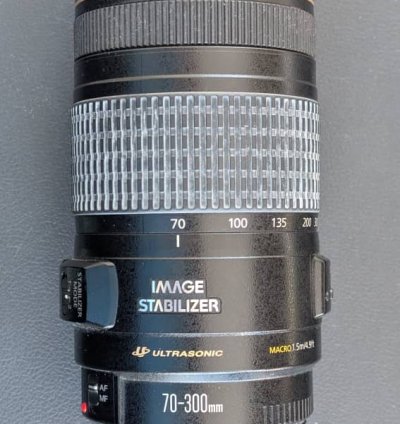 Canon EF 70-300mm f/4-5.6 IS USM